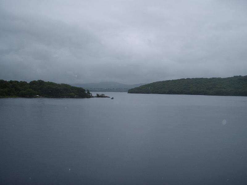 Rhinnogs 013.jpg